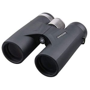 BINOCULAR VECTOR PARAGON 10*42