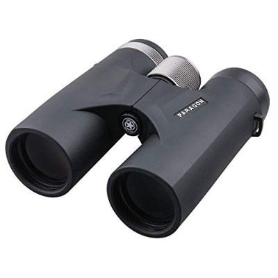 BINOCULAR VECTOR PARAGON 10*42