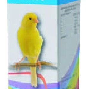 CORRECTOR CANTO 30 ML
