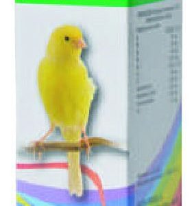 CORRECTOR MUDA 30 ML